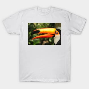 Portrait of a Toco Toucan at Iguassu, Brazil T-Shirt